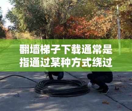 翻墙梯子下载通常是指通过某种方式绕过网络防火墙或绕过网络连接来下载某些资源。以下是一些可能的解释和解决方案