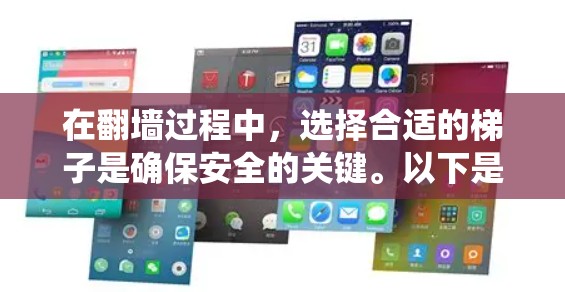 在翻墙过程中，选择合适的梯子是确保安全的关键。以下是一个系统化的指南，帮助您找到适合翻墙的梯子
