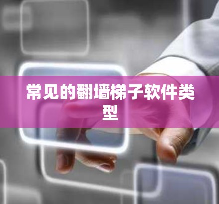 常见的翻墙梯子软件类型