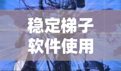 稳定梯子软件使用评价