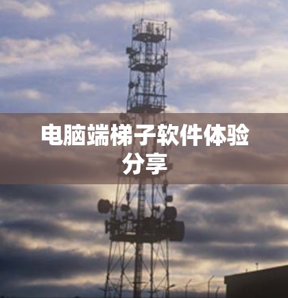 电脑端梯子软件体验分享