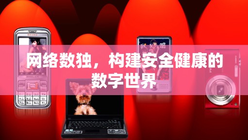 网络数独，构建安全健康的数字世界