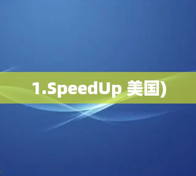1.SpeedUp 美国)