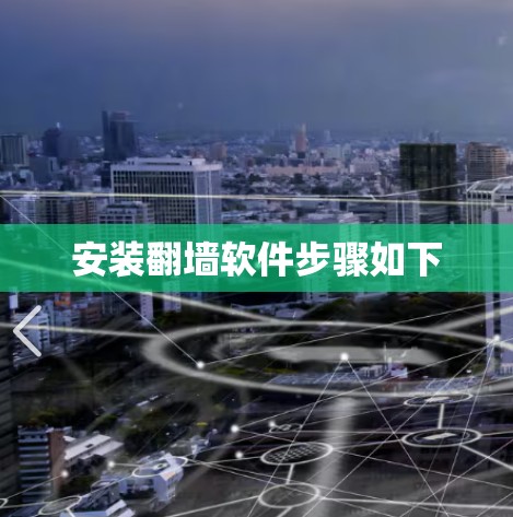 安装翻墙软件步骤如下
