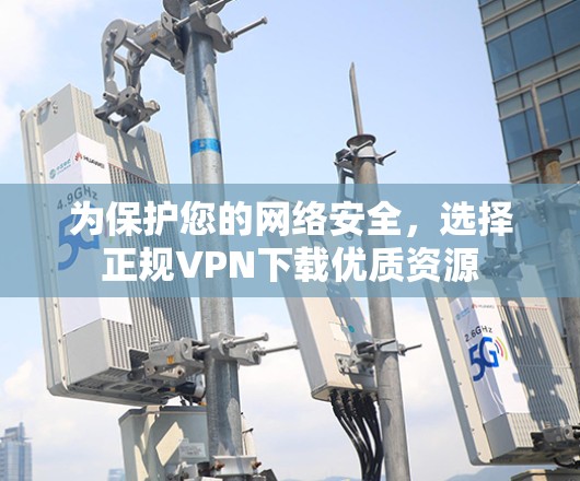 为保护您的网络安全，选择正规VPN下载优质资源