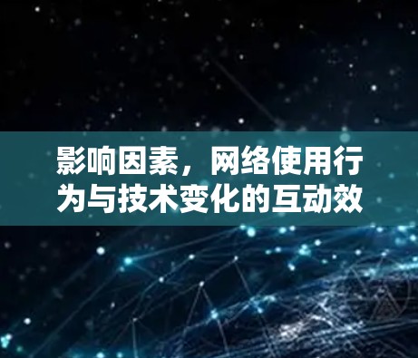 影响因素，网络使用行为与技术变化的互动效应