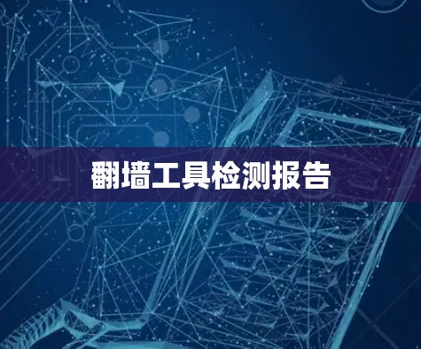 翻墙工具检测报告