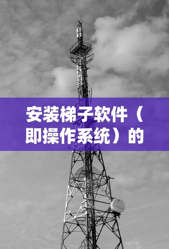 安装梯子软件（即操作系统）的步骤如下