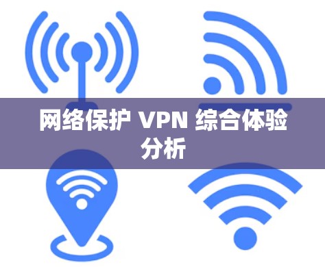 网络保护 VPN 综合体验分析