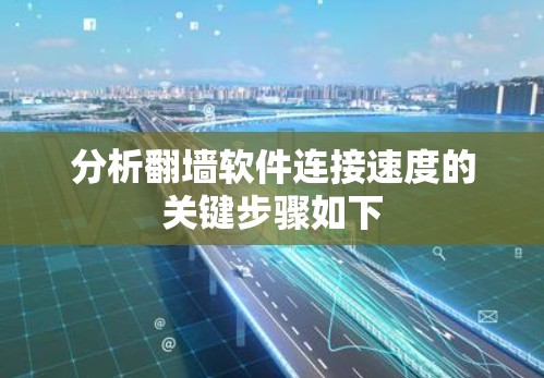 分析翻墙软件连接速度的关键步骤如下