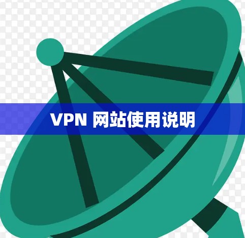 VPN 网站使用说明