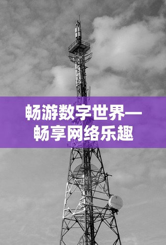 畅游数字世界—畅享网络乐趣