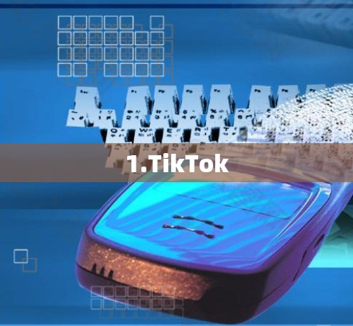 1.TikTok