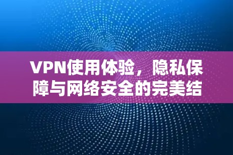 VPN使用体验，隐私保障与网络安全的完美结合