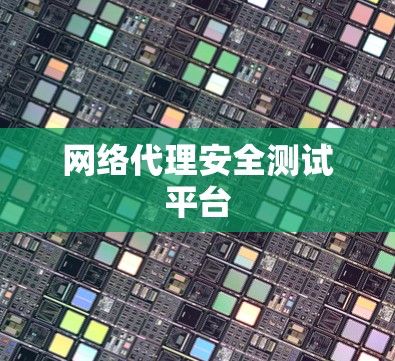 网络代理安全测试平台 网络代理安全测试平台