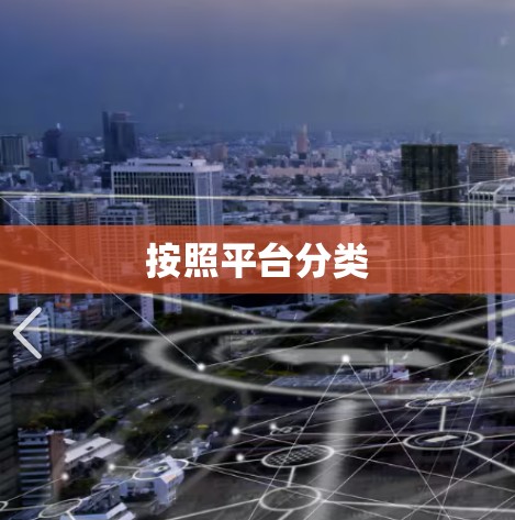 按照平台分类