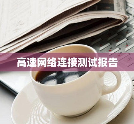 高速网络连接测试报告 高速网络连接测试报告