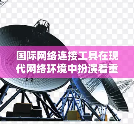 国际网络连接工具在现代网络环境中扮演着重要角色，它们为用户提供了连接国际网络的便利方式。以下是对这些工具的系统性分析