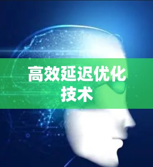 高效延迟优化技术