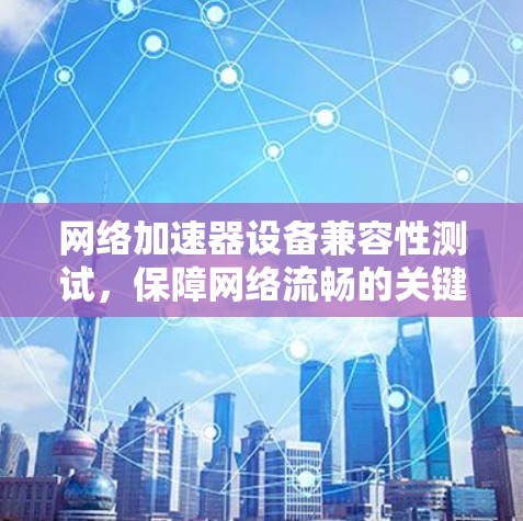 网络加速器设备兼容性测试，保障网络流畅的关键因素
