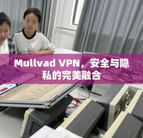Mullvad VPN，安全与隐私的完美融合