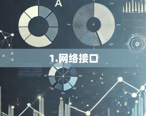 1.网络接口
