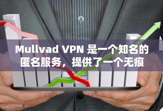 Mullvad VPN 是一个知名的匿名服务，提供了一个无痕的网络连接，满足了部分用户对匿名需求的需求。以下是对 Mullvad VPN 体验的评测，分析其匿名服务的性能、加密性、安全性等方面