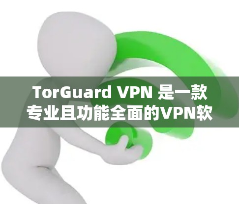 TorGuard VPN 是一款专业且功能全面的VPN软件，适合用户追求安全和稳定体验的场景。以下是对 TorGuard 的评测，从多个角度分析其性能、安全性和适用性