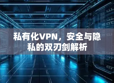 私有化VPN，安全与隐私的双刃剑解析