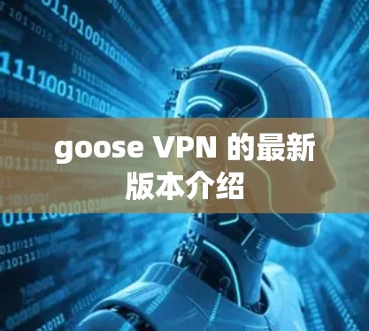 goose VPN 的最新版本介绍