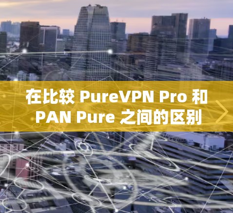 在比较 PureVPN Pro 和 PAN Pure 之间的区别时，以下是一个总结性的分析，帮助您做出明智的选择