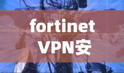 fortinet VPN安卓版手机安全连接指南