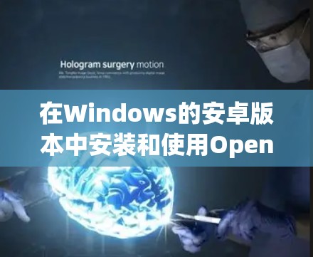 在Windows的安卓版本中安装和使用OpenVPN客户端的步骤如下