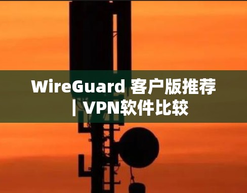 WireGuard 客户版推荐｜VPN软件比较