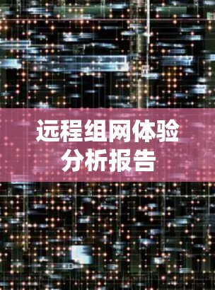 远程组网体验分析报告