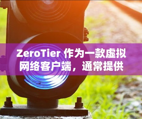 ZeroTier 作为一款虚拟网络客户端，通常提供以下信息和下载方式