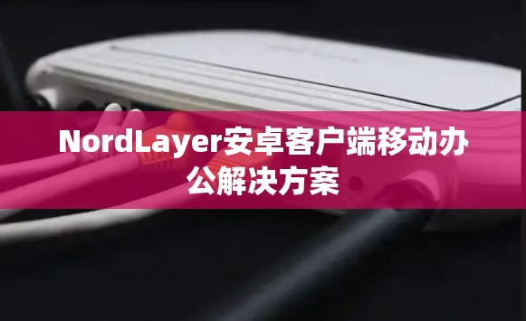 NordLayer安卓客户端移动办公解决方案