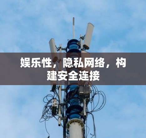 娱乐性，隐私网络，构建安全连接