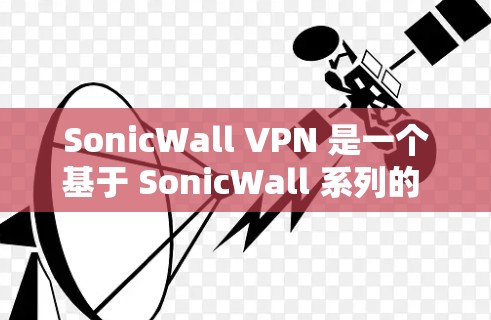 SonicWall VPN 是一个基于 SonicWall 系列的 VPN 服务，提供安全的互联网访问。以下是一个详细的使用步骤指南