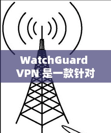 WatchGuard VPN 是一款针对企业的企业VPN工具，旨在提供安全、可靠且易于使用的网络连接服务。以下是对其体验的评估和总结