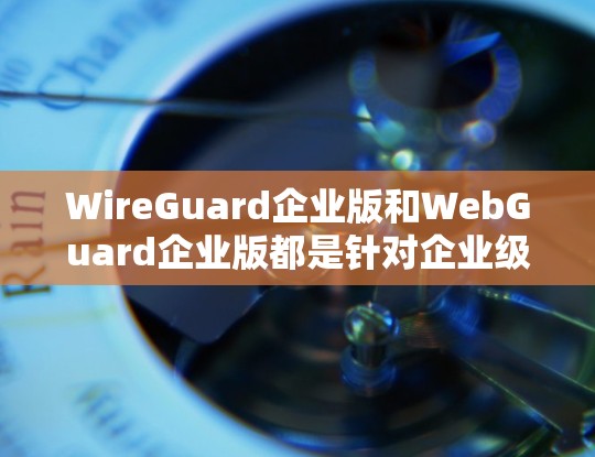 WireGuard企业版和WebGuard企业版都是针对企业级网络环境设计的替代方案，旨在提供强大的企业级网络管理功能。以下是对这两种方案的比较