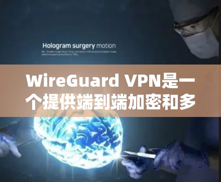 WireGuard VPN是一个提供端到端加密和多设备连接的VPN服务，以其高速连接体验而闻名。以下是对高速连接体验的详细评价