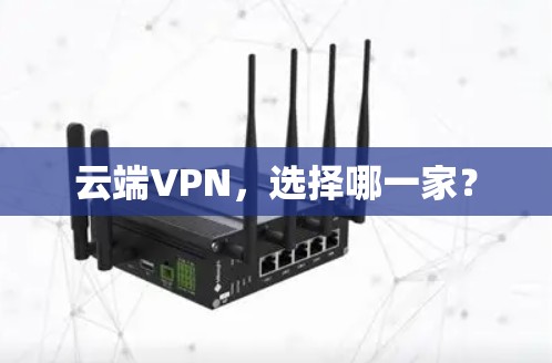 云端VPN，选择哪一家？