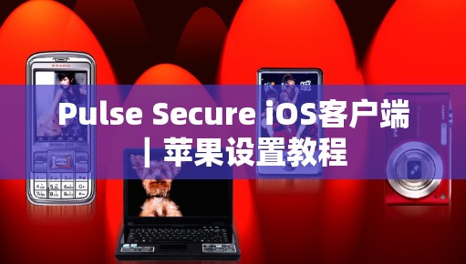 Pulse Secure iOS客户端｜苹果设置教程
