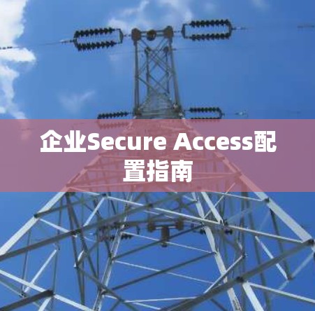 企业Secure Access配置指南