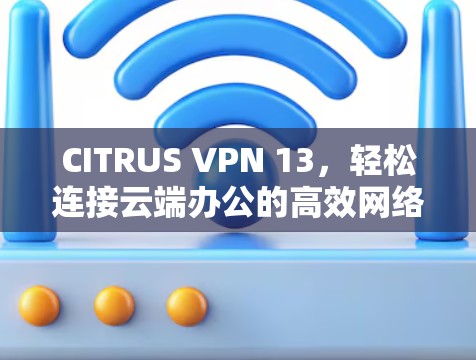 CITRUS VPN 13，轻松连接云端办公的高效网络解决方案