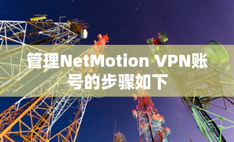 管理NetMotion VPN账号的步骤如下