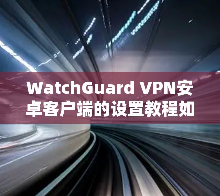 WatchGuard VPN安卓客户端的设置教程如下