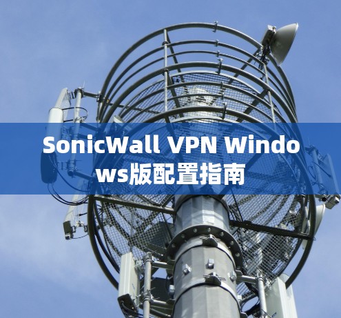 SonicWall VPN Windows版配置指南
