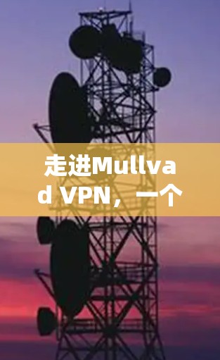 走进Mullvad VPN，一个安全可靠的匿名VPN选择
